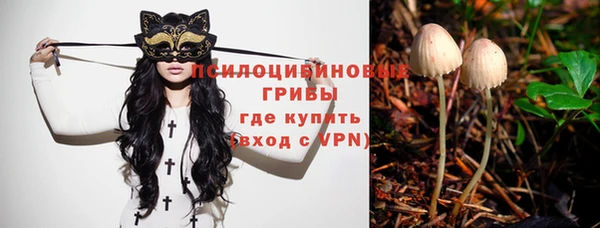 хмурый Михайловка