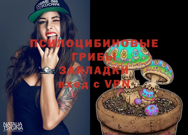 хмурый Михайловка