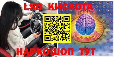 прущие грибы Абакан
