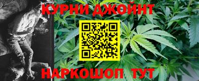 МДПВ Бийск