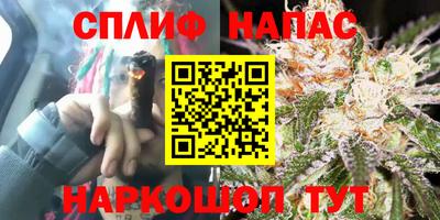 винт Балахна