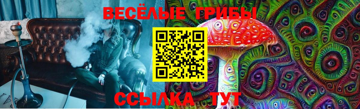 Воронеж  даркнет сайт  Вход с VPN  Псилоцибиновые грибы MAGIC MUSHROOMS 