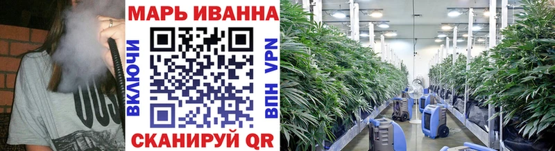 нарко площадка наркотические препараты  Воронеж  Конопля SATIVA & INDICA  кракен как зайти 
