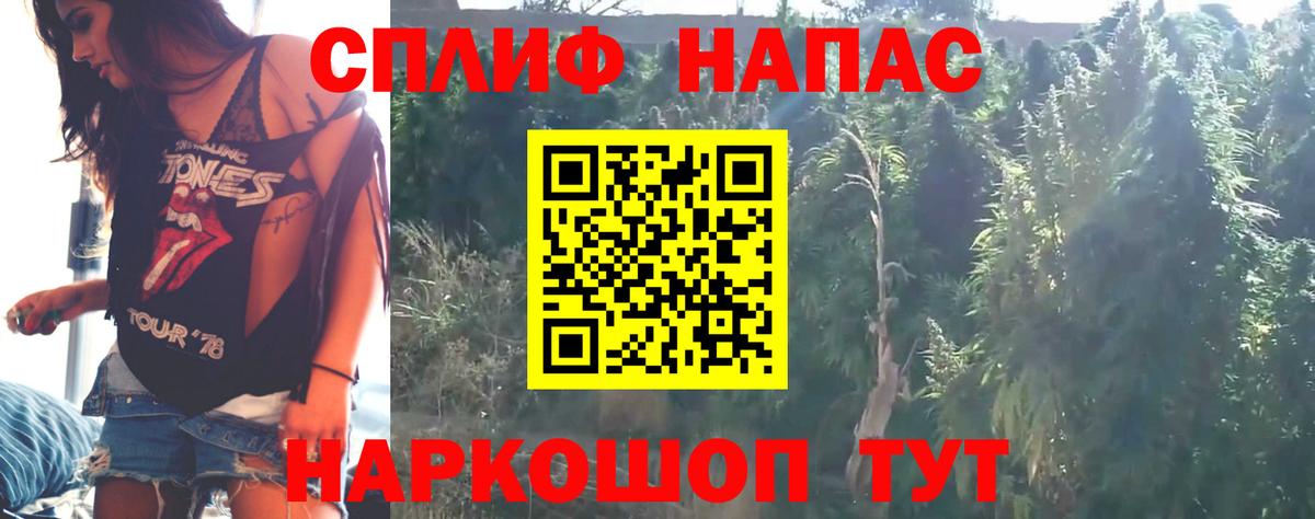 Конопля SATIVA & INDICA  Бошки марихуана тримм  Марихуана план  Вход с VPN  Воронеж  МАРИХУАНА ГИДРОПОН 